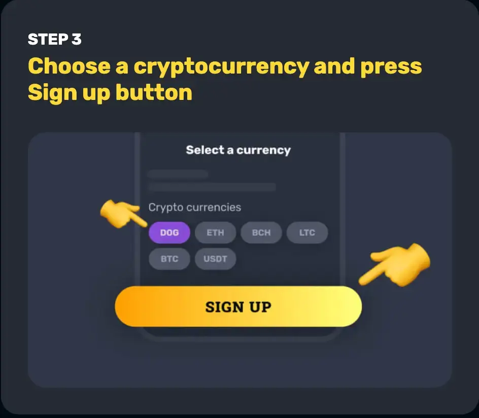 Step 3: Choose a cryptocurrency (BTC, ETH, LTC, DOGE, USDT, BCH).
